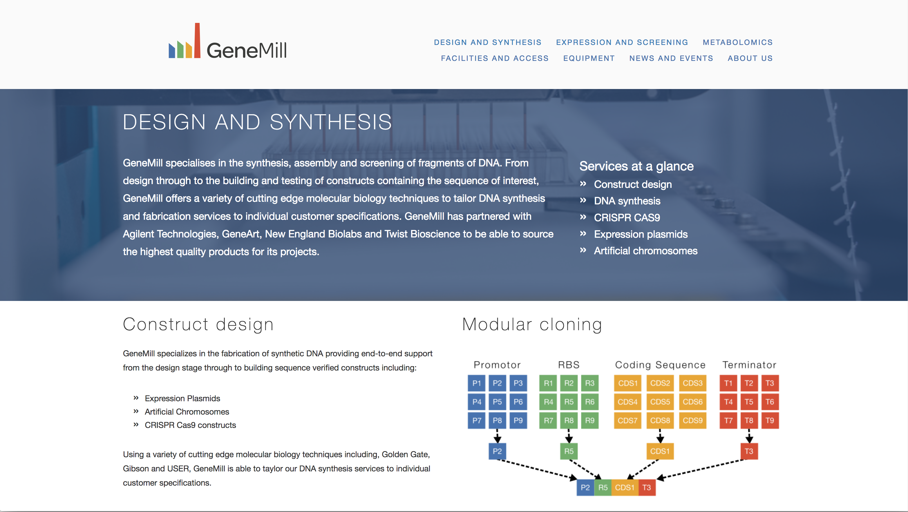 Screenshot showing an example of a services page